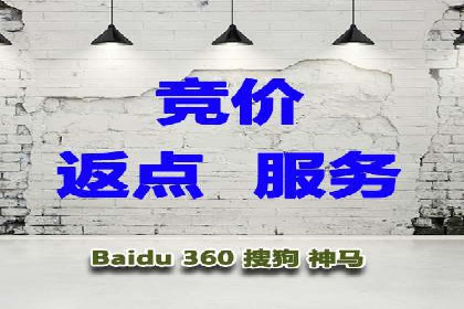 竞价广告的深度解析：以一知名品牌为例